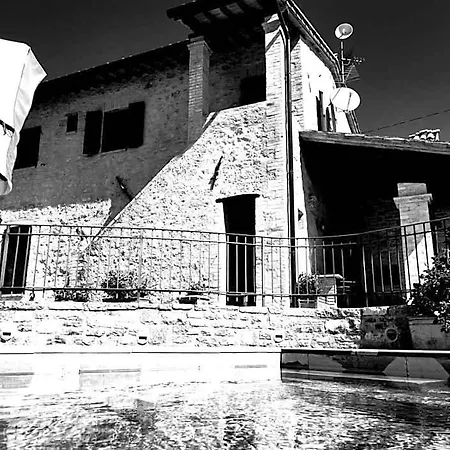 Domus Clara *